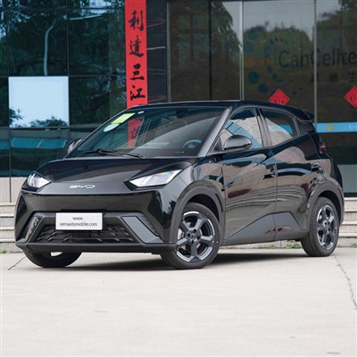 Xe mini 2024 BYD Seagull EV 405KM