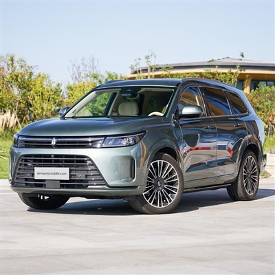 SUV hạng sang Huawei Aito M{0}}WD