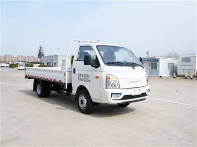 Xe tải siêu nhỏ Skyworth K10L